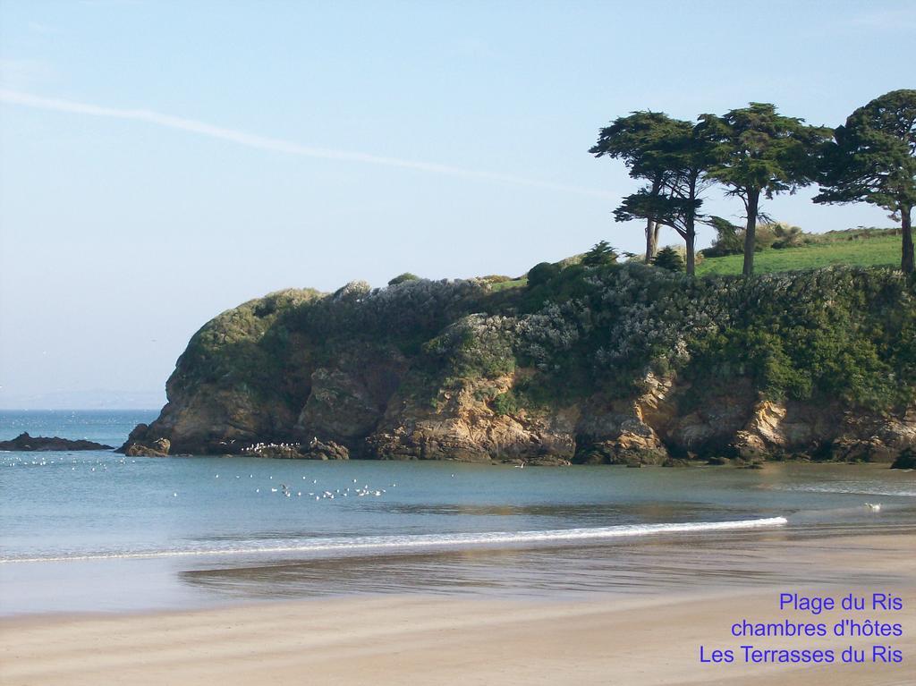 Les Terrasses Du Ris Bed & Breakfast Douarnenez Eksteriør bilde