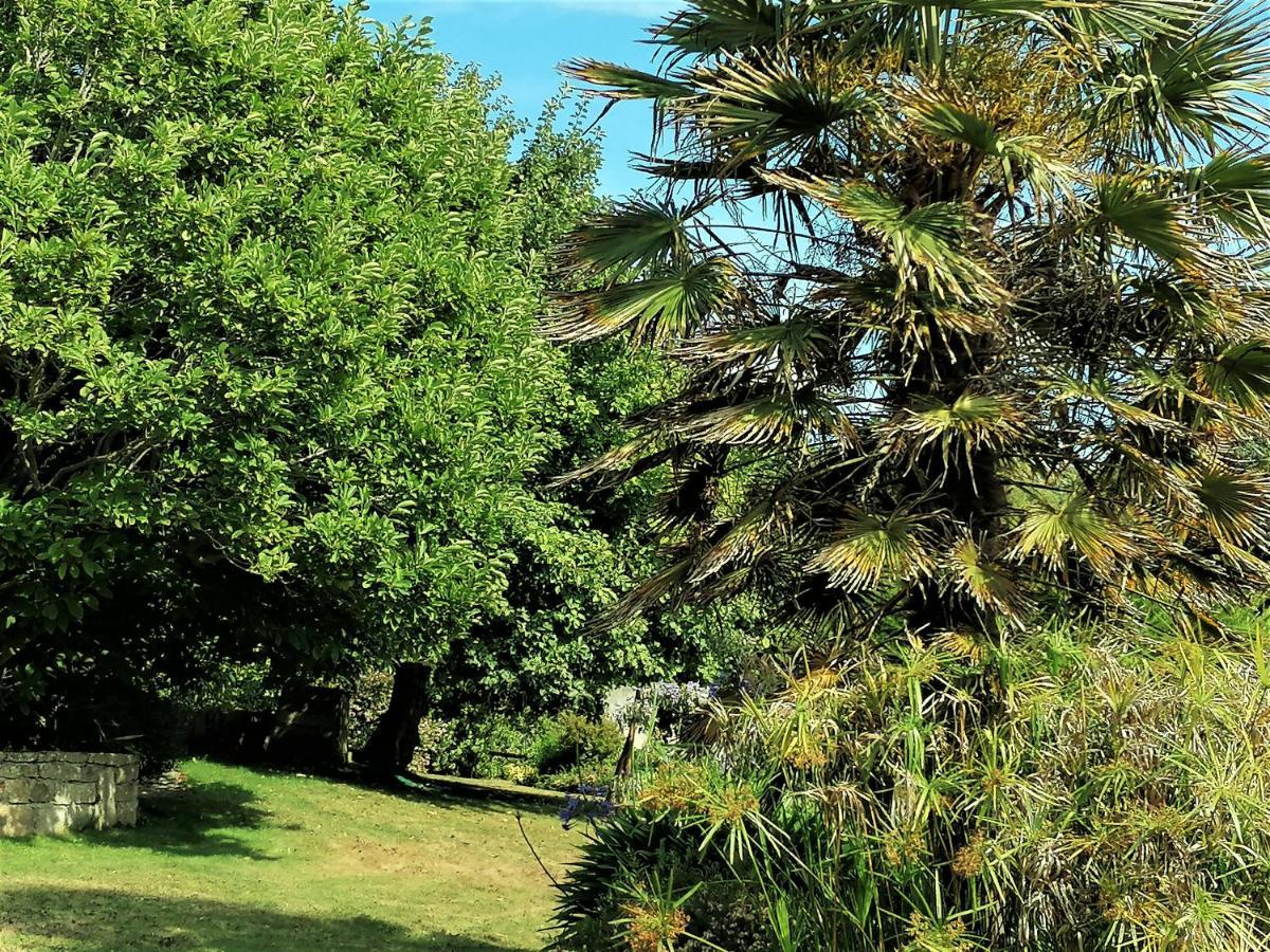 Les Terrasses Du Ris Bed & Breakfast Douarnenez Eksteriør bilde